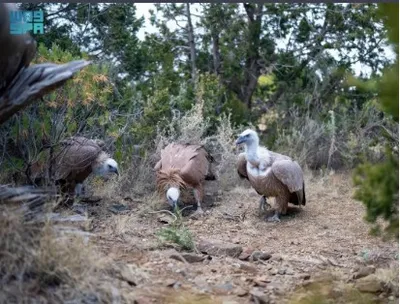 اخبار اليمن الان الحدث اليوم عاجل الجيل