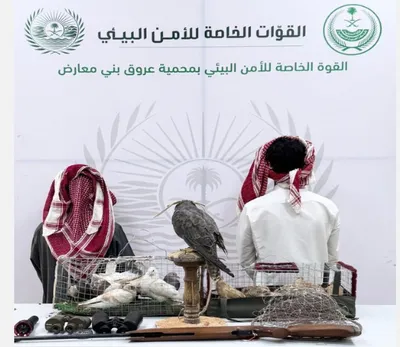 الجيل اخبار اليمن الان مواطنين لارتكابهما مخالفة الشروع الطبيعية اخبار اليمن الان الحدث اليوم عاجل الجيل