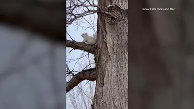 اخبار اليمن الان الحدث اليوم عاجل cnn عربي