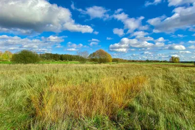 اخبار اليمن الان الحدث اليوم عاجل cnn عربي
