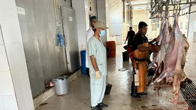 اخبار اليمن الان الحدث اليوم عاجل سبق