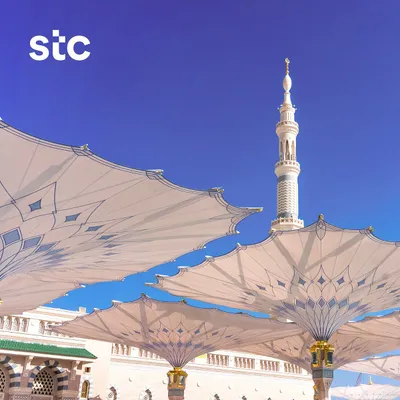 اخبار اليمن الان الحدث اليوم عاجل سبق