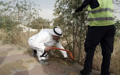 اخبار اليمن الان الحدث اليوم عاجل سبق
