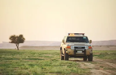 اخبار اليمن الان الحدث اليوم عاجل الجيل