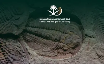 الجيل اخبار اليمن الان المساحة الجيولوجية اكتشافاتها العالمي للأحافير اخبار اليمن الان الحدث اليوم عاجل الجيل