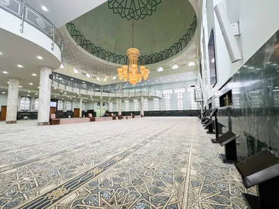 سبق اخبار اليمن الان السعودية الملك بسراييفو استخدام القديم اخبار اليمن الان الحدث اليوم عاجل سبق