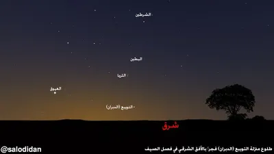 سبق اخبار اليمن الان الحصيني الجمعة المقبلة التويبع الحرارة اخبار اليمن الان الحدث اليوم عاجل سبق