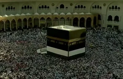 اخبار اليمن الان الحدث اليوم عاجل سبق