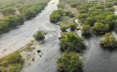 اخبار اليمن الان الحدث اليوم عاجل الجيل
