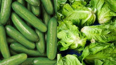 سبق اخبار اليمن الان الخضيري السكر والخيار الحبوب للسكري اخبار اليمن الان الحدث اليوم عاجل سبق