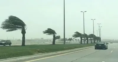 الجيل اخبار اليمن الان المركز الوطني للأرصاد المدينة المنورة اخبار اليمن الان الحدث اليوم عاجل الجيل