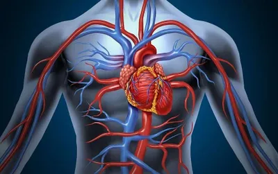 اخبار اليمن الان الحدث اليوم عاجل سبق
