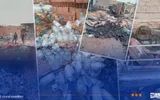النهار الجزائرية اخبار اليمن الان تمنراست للمشروبات الغازية والمياه المعدنية اخبار اليمن الان الحدث اليوم عاجل النهار الجزائرية