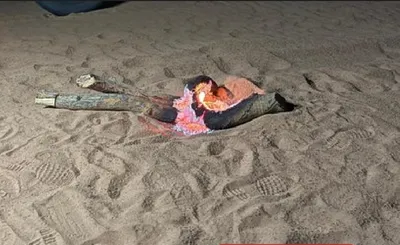 اخبار اليمن الان الحدث اليوم عاجل الجيل