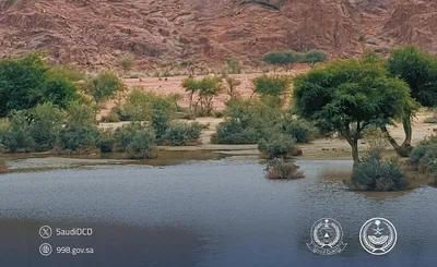 اخبار اليمن الان الحدث اليوم عاجل سبق
