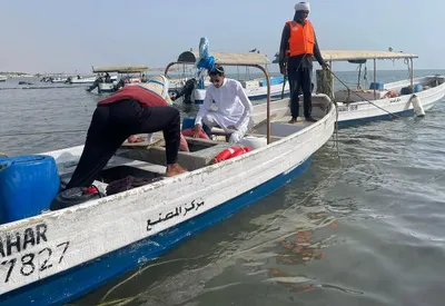 اخبار اليمن الان الحدث اليوم عاجل سبق