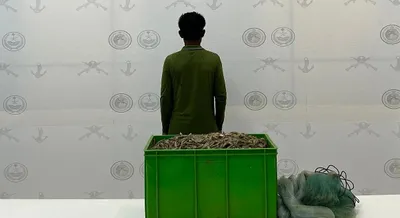 سبق اخبار اليمن الان الحدود مقيما والسلامة البحرية القحمة اخبار اليمن الان الحدث اليوم عاجل سبق