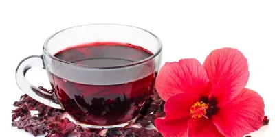 اخبار اليمن الان الحدث اليوم عاجل سبق