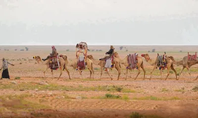 الجيل اخبار اليمن الان الشداد تراثية عبقرية الإنسان الصحراء اخبار اليمن الان الحدث اليوم عاجل الجيل