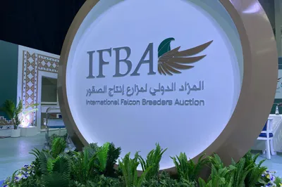 اخبار اليمن الان الحدث اليوم عاجل سبق
