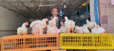 اخبار اليمن الان الحدث اليوم عاجل شمسان بوست