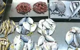 timesofindia اخبار اليمن الان resume japanese seafood imports fukushima اخبار اليمن الان الحدث اليوم عاجل timesofindia