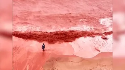 اخبار اليمن الان الحدث اليوم عاجل cnn عربي