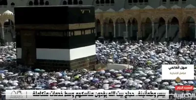 اخبار اليمن الان الحدث اليوم عاجل الجيل