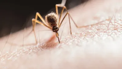 اخبار اليمن الان الحدث اليوم عاجل سبق