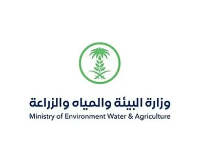 اخبار اليمن الان الحدث اليوم عاجل سبق