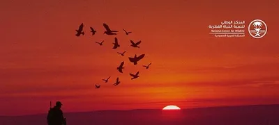 اخبار اليمن الان الحدث اليوم عاجل سبق