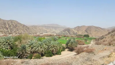اخبار اليمن الان الحدث اليوم عاجل سبق
