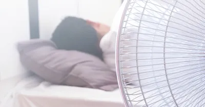 اخبار اليمن الان الحدث اليوم عاجل سبق
