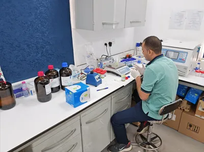 الجيل اخبار اليمن الان المدينة المنورة الجولات الميدانية والفواكه اخبار اليمن الان الحدث اليوم عاجل الجيل