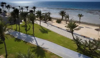 اخبار اليمن الان الحدث اليوم عاجل الجيل