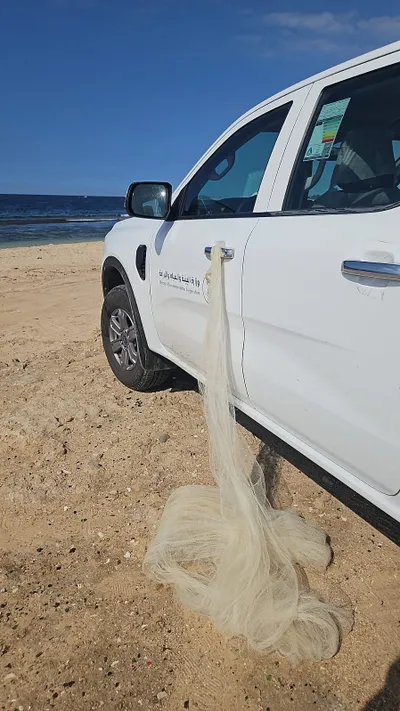 اخبار اليمن الان الحدث اليوم عاجل سبق