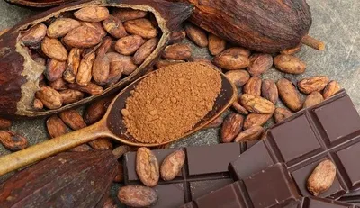 اخبار اليمن الان الحدث اليوم عاجل الجيل