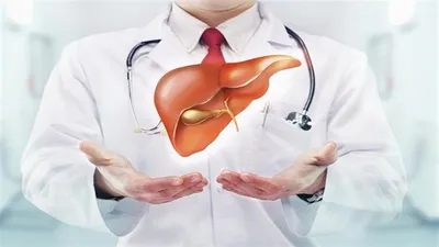 سبق اخبار اليمن الان السمنة الكبد تناول الدهون والسكريات اخبار اليمن الان الحدث اليوم عاجل سبق