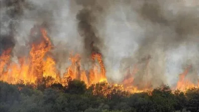 الجيل اخبار اليمن الان تركيا إجلاء أكثر حرائق الغابات اخبار اليمن الان الحدث اليوم عاجل الجيل