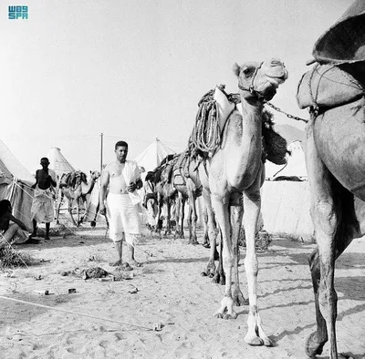 سبق اخبار اليمن الان الحج المصري ثقافي أبواب اليونسكو اخبار اليمن الان الحدث اليوم عاجل سبق