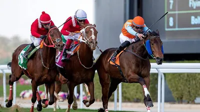 الجيل اخبار اليمن الان سباقات الأسبوع الثالث بميدان عبدالعزيز  اخبار اليمن الان الحدث اليوم عاجل الجيل