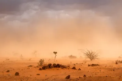 اخبار اليمن الان الحدث اليوم عاجل سبق