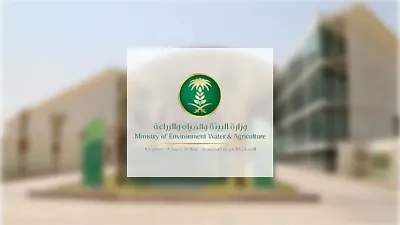 اخبار اليمن الان الحدث اليوم عاجل صدى 