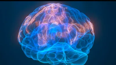 cnn عربي اخبار اليمن الان بالسعادة نصائح الصحة النفسية أولوية اخبار اليمن الان الحدث اليوم عاجل cnn عربي