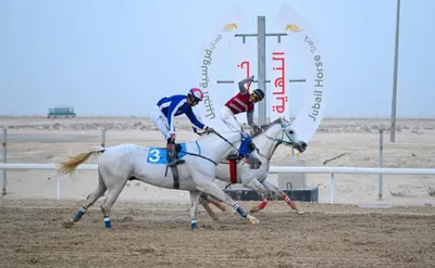 اخبار اليمن الان الحدث اليوم عاجل الجيل