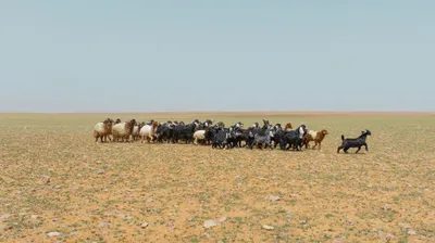 اخبار اليمن الان الحدث اليوم عاجل سبق