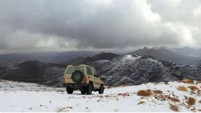 اخبار اليمن الان الحدث اليوم عاجل الجيل