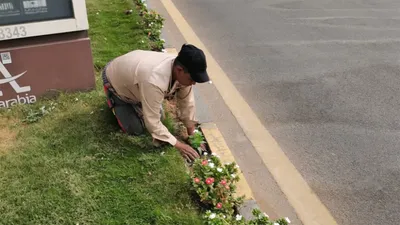 الجيل اخبار اليمن الان الشرقية الرقابة الميدانية النظافة لاستقبال اخبار اليمن الان الحدث اليوم عاجل الجيل