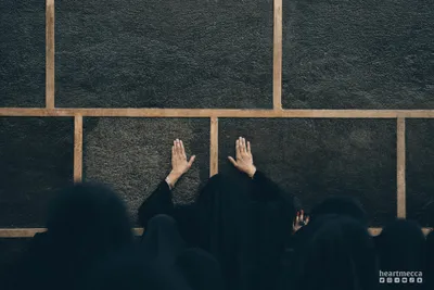اخبار اليمن الان الحدث اليوم عاجل cnn عربي