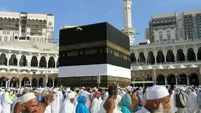الجيل اخبار اليمن الان وزارة الرحمن متابعة التوعية الصحية اخبار اليمن الان الحدث اليوم عاجل الجيل